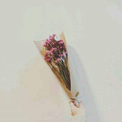 草花梦回凤歌手游下载